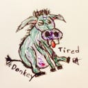 The Tired Donkey needs a rest?